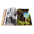 LA COLOMBE D´OR
