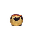 CAPE GOLD M - ZANZIBAR