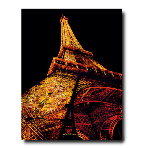 PARIS CHIC