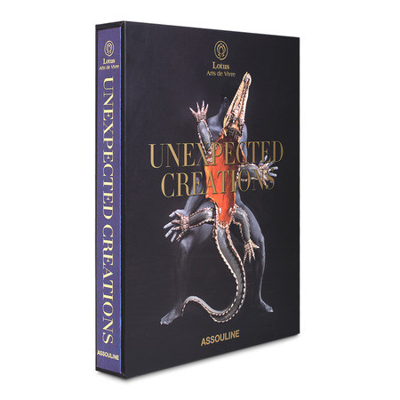 UNEXPECTED CREATIONS