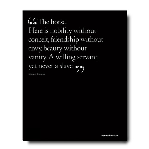 THE ALLURE OF HORSES